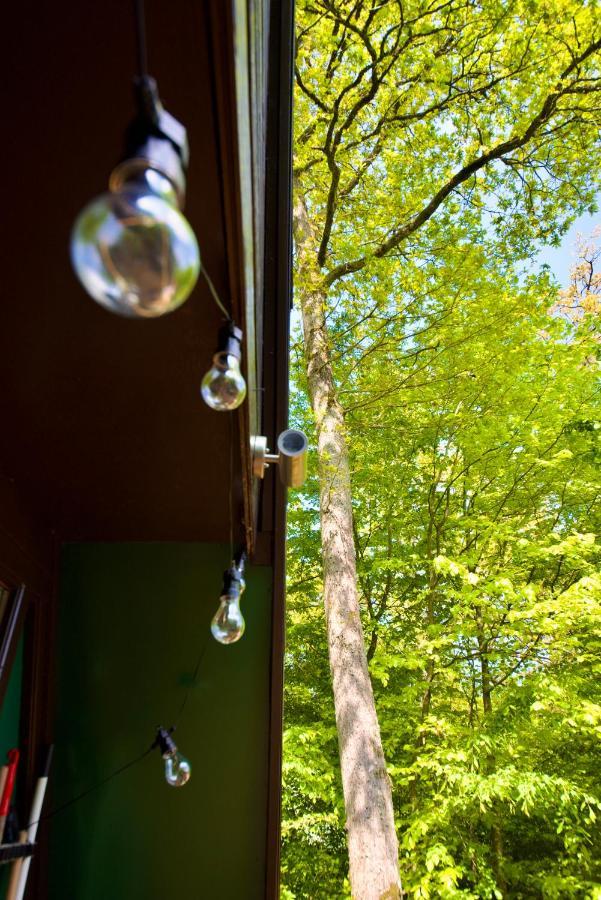 דורבורי A- Frame Huisje Ardennen מראה חיצוני תמונה
